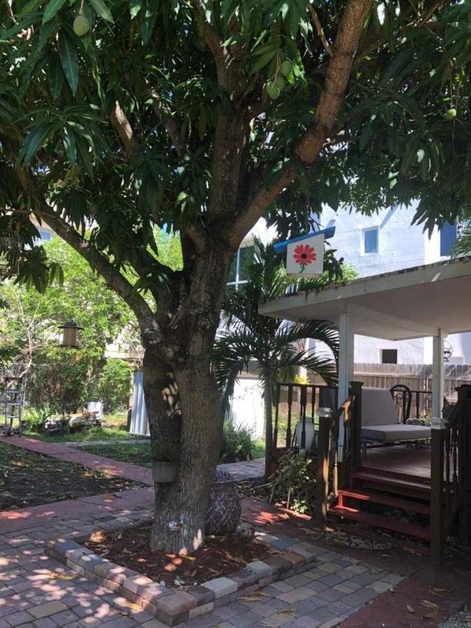 Private Room In The Heart Of Calle Ocho Miami Exteriör bild
