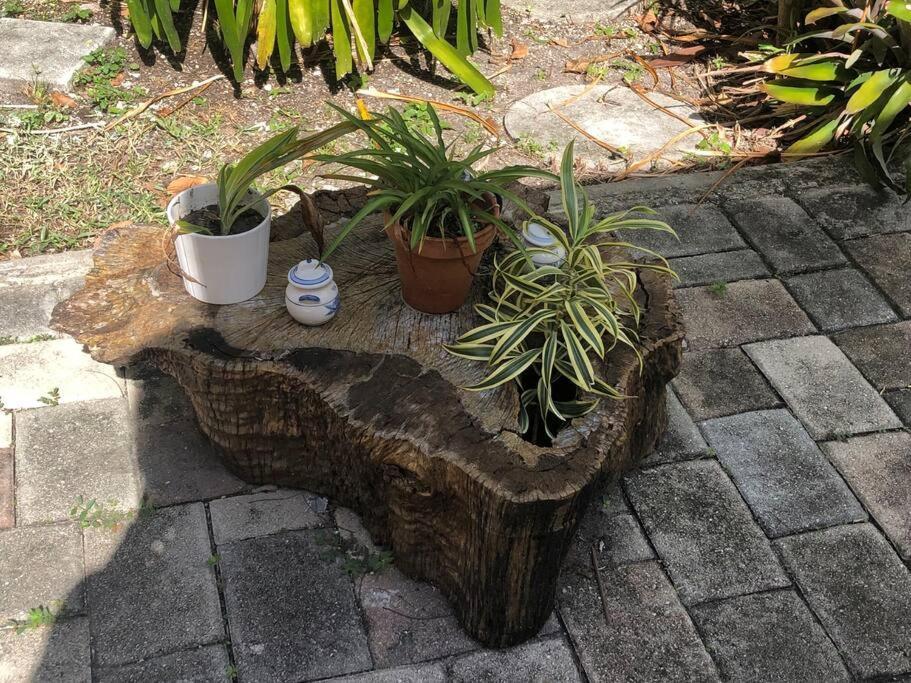 Private Room In The Heart Of Calle Ocho Miami Exteriör bild